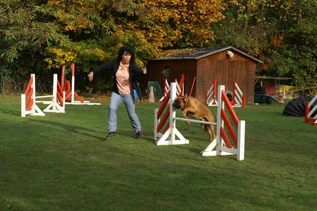 agility 2011-10-30
